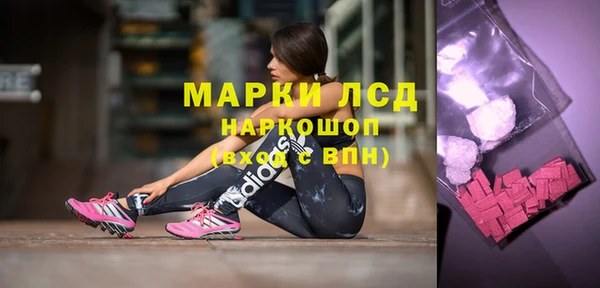 индика Зерноград