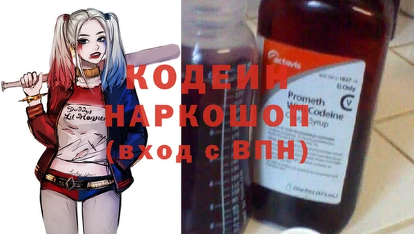 прущие грибы Богородицк