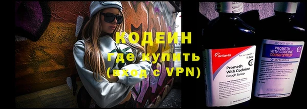 прущие грибы Богородицк